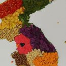 화순도암중학교 이미지