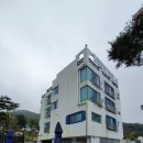 민들레미코 이미지