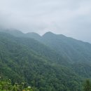 설악언니 이미지