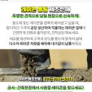 풍차노래연습장 이미지