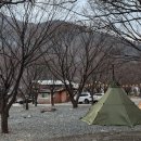 약초농원민박 네이버블로그