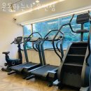 이디야커피 우면동점 | 우면동헬스 운동하는날 우면점 가격 후기