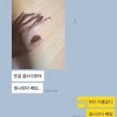 짐나르다 베임 이미지
