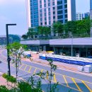 숲속다원유치원 이미지