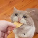 프레임오브프레임
