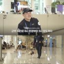 대한민국 제 1호 빈대탐지견 '세코' 이미지