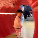 누리과학 | 주말 아이랑 무료로 즐기는 아산가볼만한곳｜충청남도교육청 과학교육원 유아누리체험관 후기