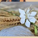 성일빌라 이미지