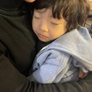 심바는 크리스마스 이미지