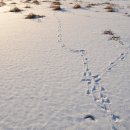 화려한외출투 이미지