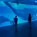 월드미디어 이미지