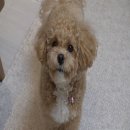 토리농장 이미지