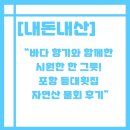 구룡포자연산횟집 | 🐟 포항 구룡포 ‘등대횟집’ 자연산 물회 솔직 후기