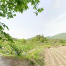 삼태리농장 이미지