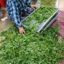 철원농장 이미지