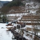 밀하우스 네이버블로그