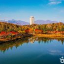 동해대형현대서비스(주) 이미지