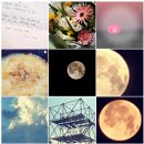 현숙농장 | 나는솔로 17기 : 출연진 근황 및 인스타 (상철현숙 럽스타/ 상철클럽 / 영호 새여친)