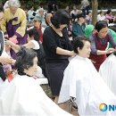 강서구-21 이미지