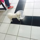 두리동물클리닉 이미지