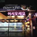 펫샵보이즈(아담스펫 부천점) | 화이트포메라니안분양 아담스펫 솜뭉치입양후기