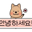 돌담과 초록 이미지