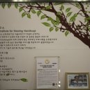 일산서울보청기 이미지