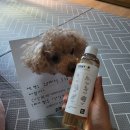 바비덴탈 이미지