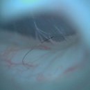 금천종합동물병원 이미지