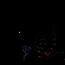 제일게임장 이미지