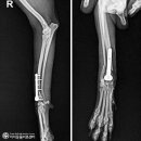 이지 동물병원 이미지