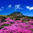 제주 김녕굴 및 만장굴 이미지