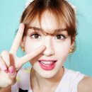 솜솜