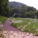 로하스 해피로드 이미지