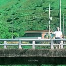 겸사겸사