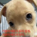 새벽