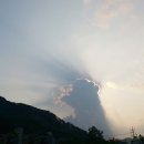 구름강아지 이미지