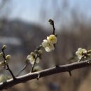 배둔시외버스터미널 | 남파랑길 2차(13-27 코스 걷기) : 배둔시외버스터미널 - 사천대교()