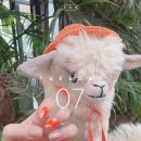 디어엔뷰티 이미지