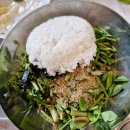 왕버들2농장 이미지