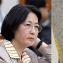 더불어세탁소 이미지