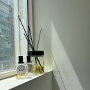 선릉역 미용실 추천 프롬어스헤어 염색 &amp; 테슬컷 후기