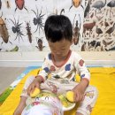 햇님반 - 곰돌이 데코레이션🐻 이미지