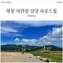 대관령 야외공연장 | 강원도 평창 대관령 삼양 라운드힐 양떼목장 총 정리 후기