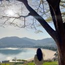 앵강민박 이미지