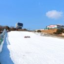경북 경주 양남 눈썰매장 할인 예매 주차 깡통열차 빙어잡기 놀거리 먹거리 후기