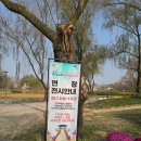 서동공원 | 부여 국화축제 궁남지 서동공원 연장전시 관람 후기