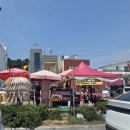 대변항2 | [내돈내산리뷰] 부산 기장 대변항 먹거리, 영주아줌마 오징어구이 솔직 후기