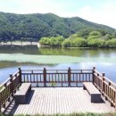 상촌면 간이화장실(돈대하천제방도로변) | 전국 노지 캠핑장