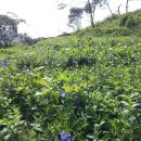 별산농장 이미지